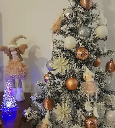 Cantinho Do Rio Apartamento